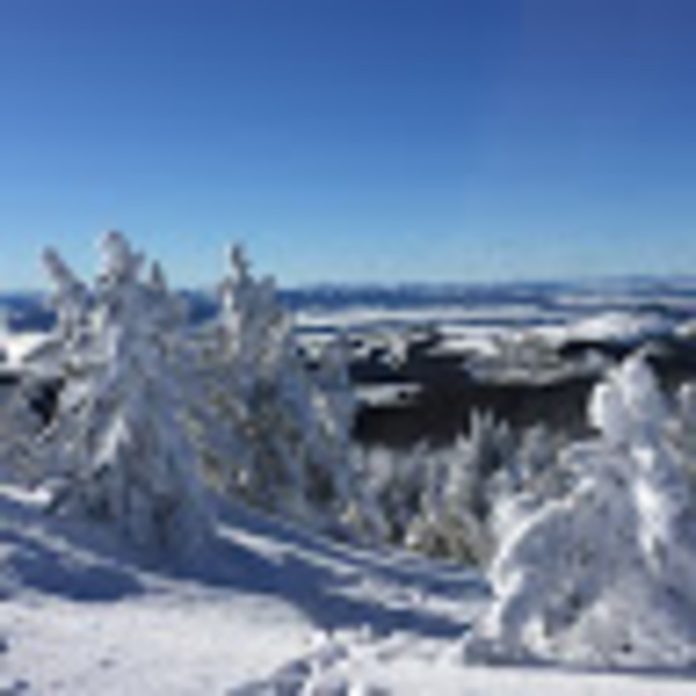 Meet your Posher, Liisa